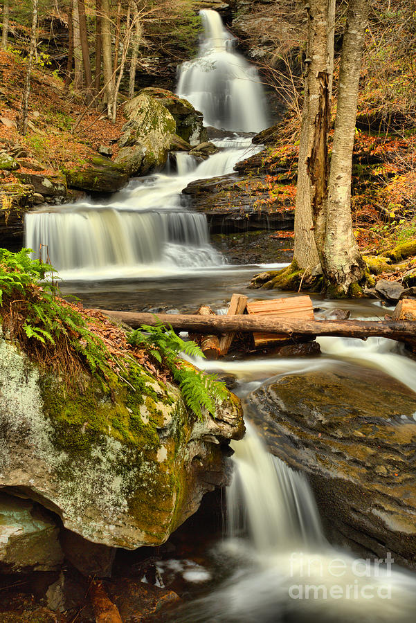 Waterfall Photograph - Falling Through The PA Forest by Adam Jewell