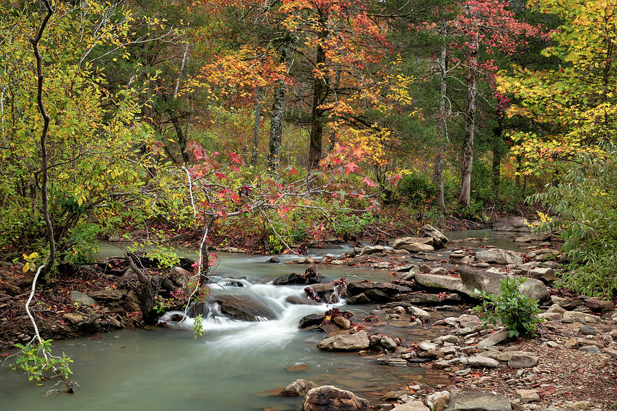 Falling Water Creek Cascade In Autumn Photograph by Gregory Ballos