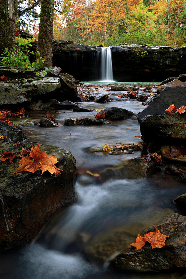 Falling Water Falls in Autumn - Ozarks  Photograph by William Rainey