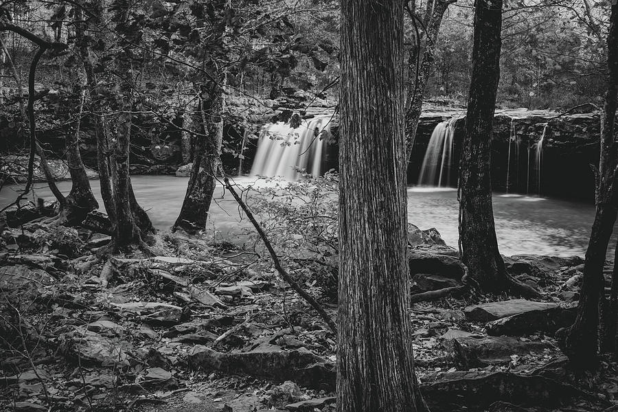 Falling Water Falls Through The Ozark National Forest - Black and White Photograph by Gregory Ballos