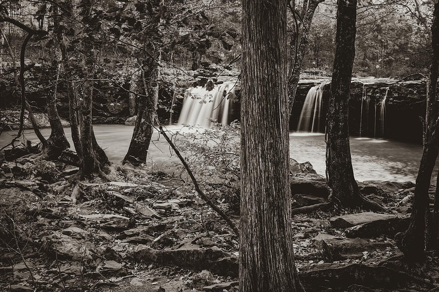 Falling Water Falls Through The Ozark National Forest - Sepia Photograph by Gregory Ballos