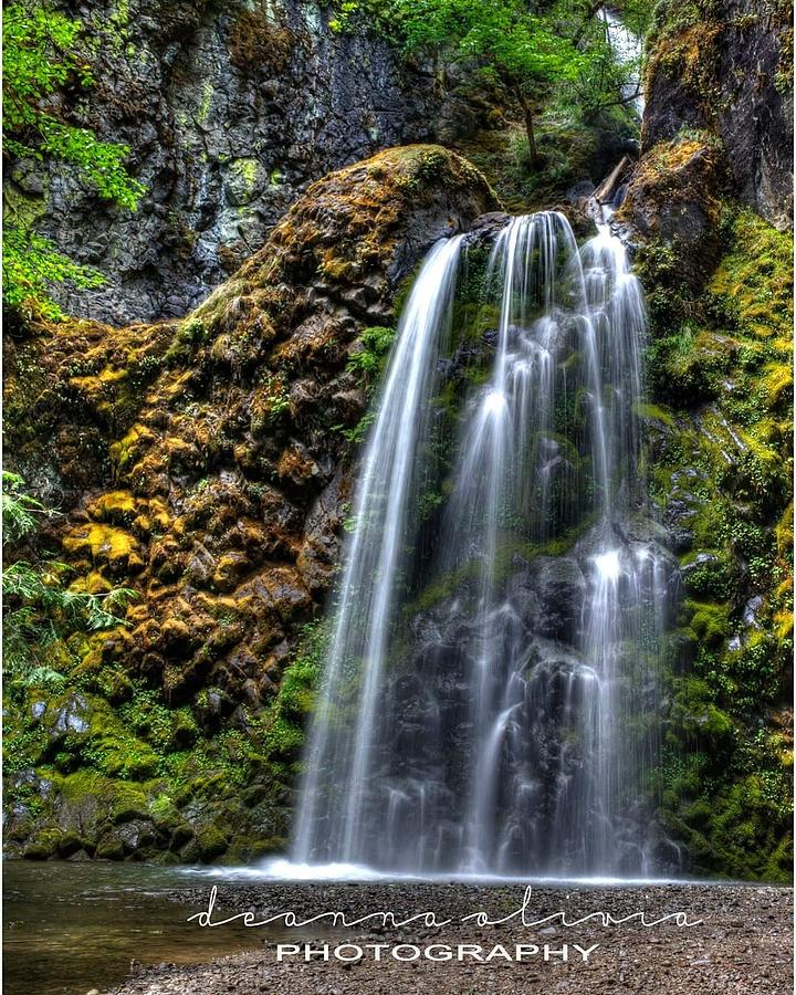 Falling Water One Photograph by Deanna Peters | Fine Art America