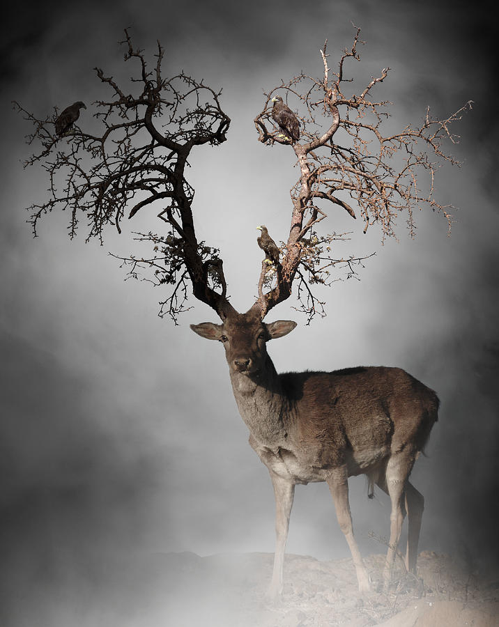 Fallow Deer And Tree Surreal Digital Art