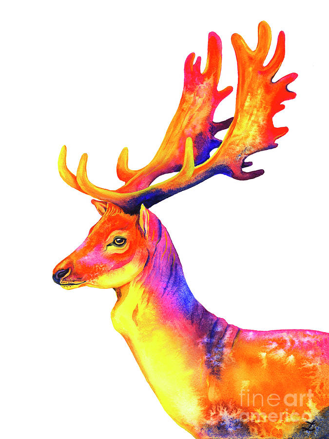 Fallow Deer Painting