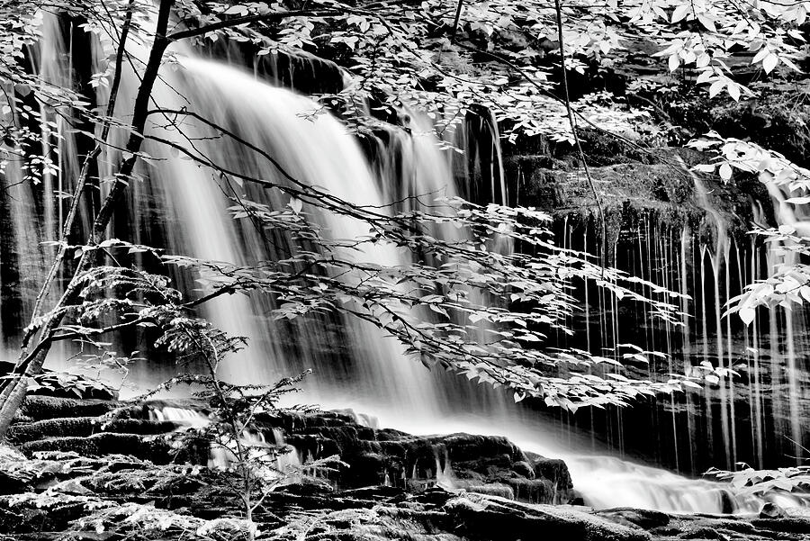 Falls and Trees Photograph by Paul W Faust - Impressions of Light