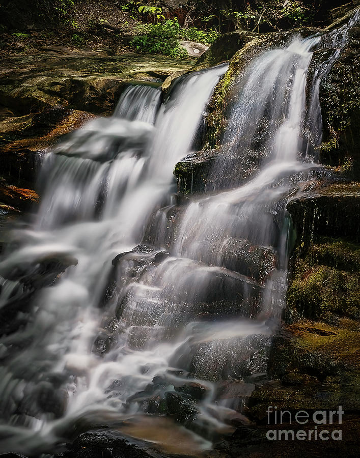 Falls at Big Rock Photograph by Nick Zelinsky Jr