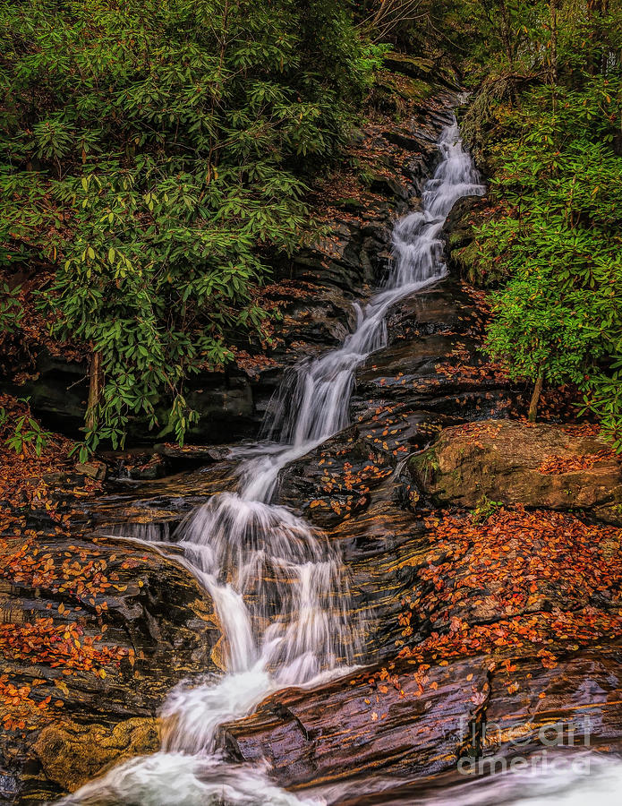 Falls at Dukes Creek Photograph by Nick Zelinsky Jr