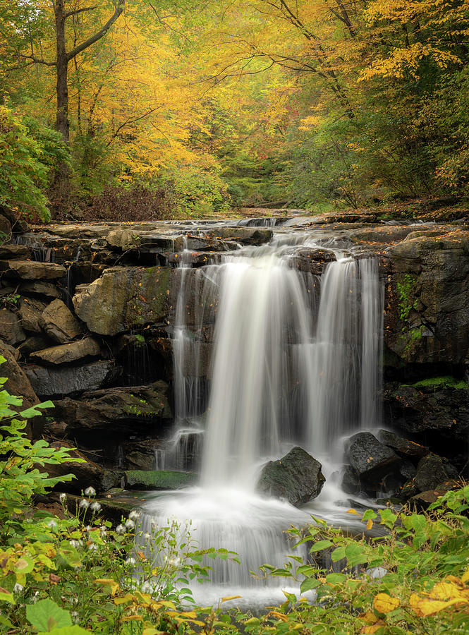 Falls at Laurel Creek Photograph by Arthur Oleary
