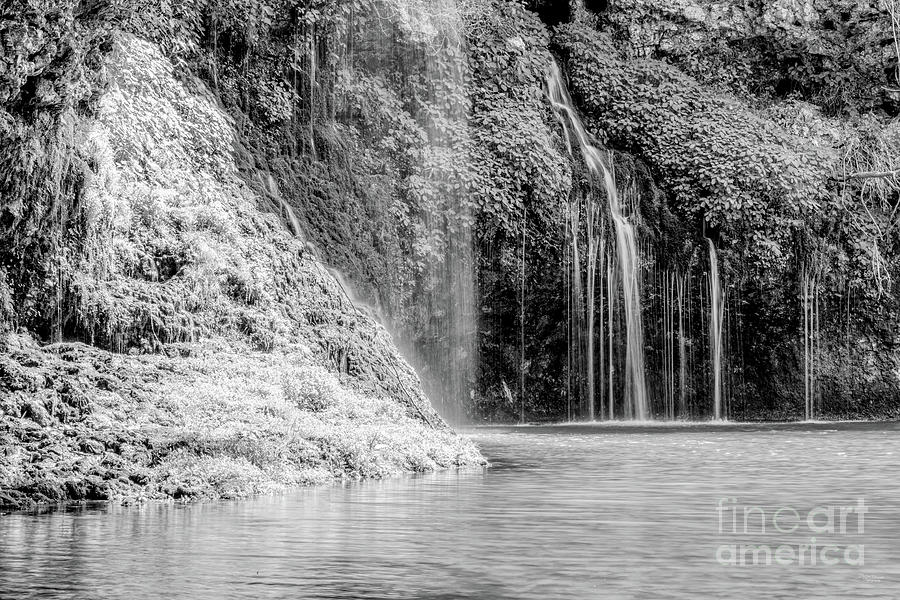Falls Behind The Mossy Bluff Grayscale Photograph by Jennifer White