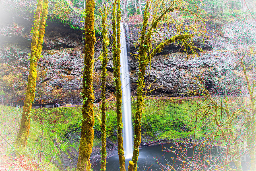 Falls Between Trees by Stan Townsend Falls Between Trees by Stan Townsend