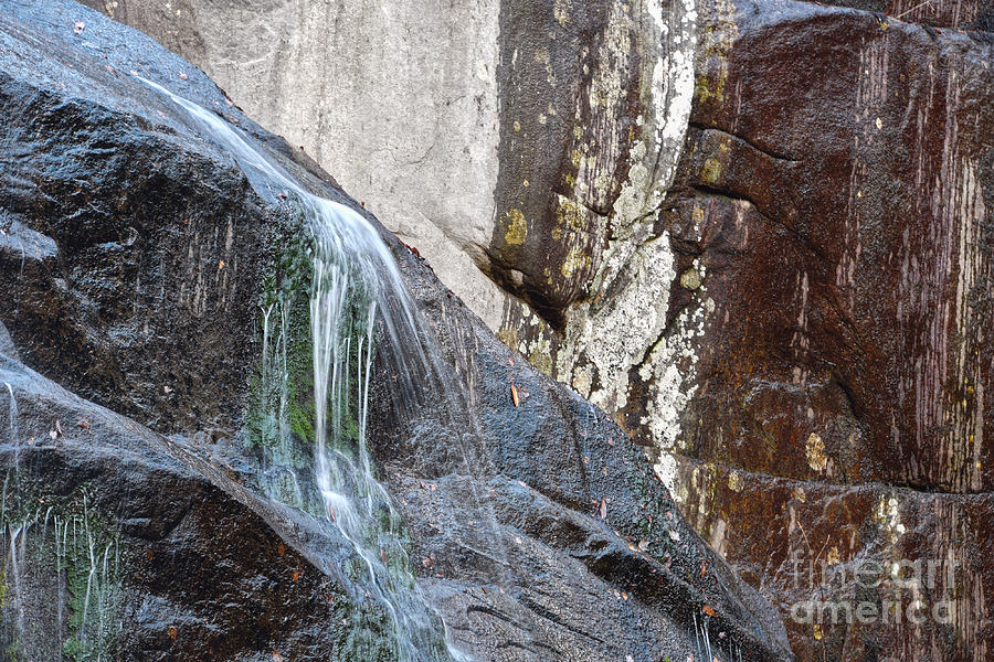 Waterfall Photograph - Falls Branch Falls 6 by Phil Perkins