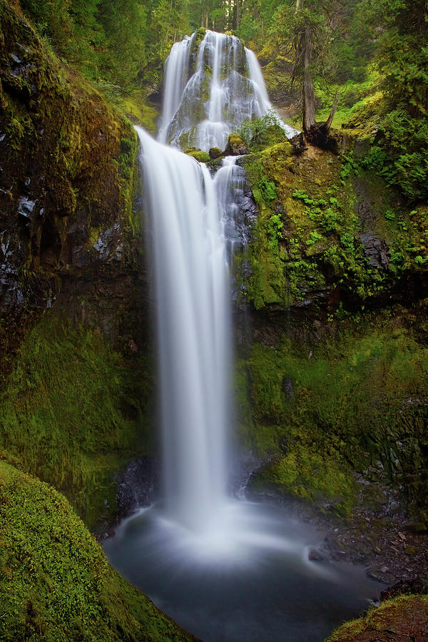 Falls Creek Falls Photograph by Darren White
