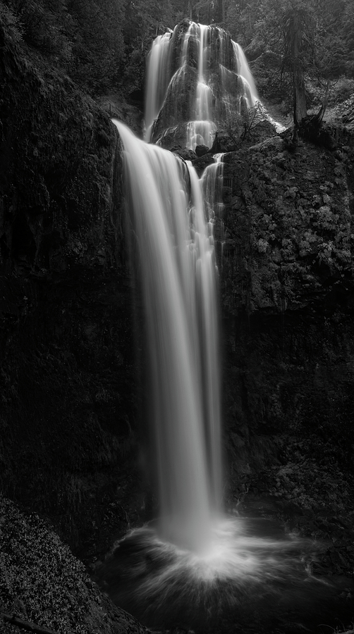 Falls Creek Falls in Black and White Photograph by Loree Johnson