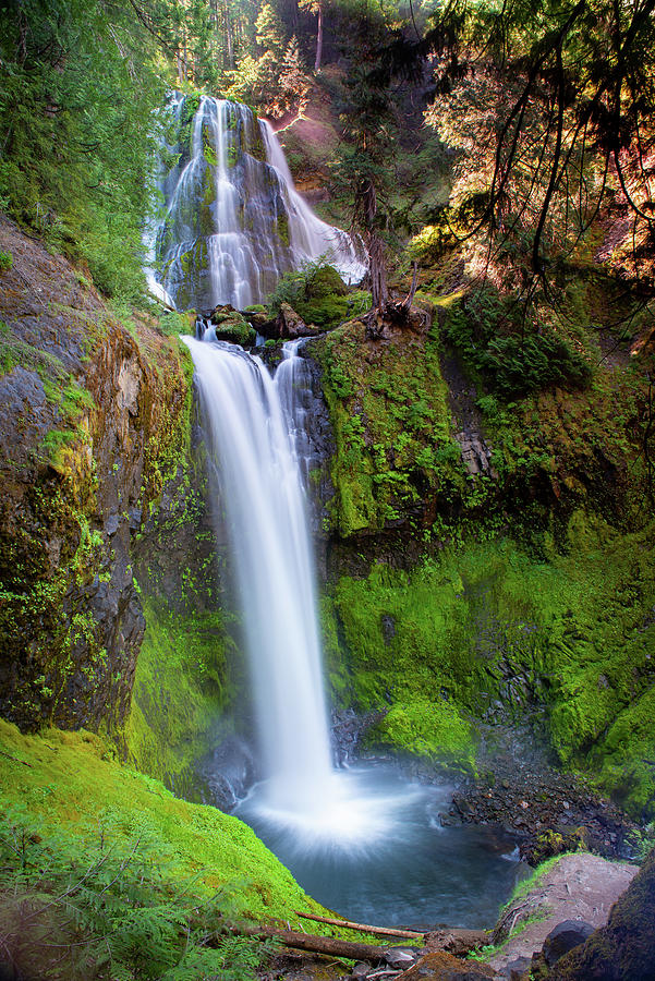 Falls Creek Falls Photograph by Leilani Heying - Pixels