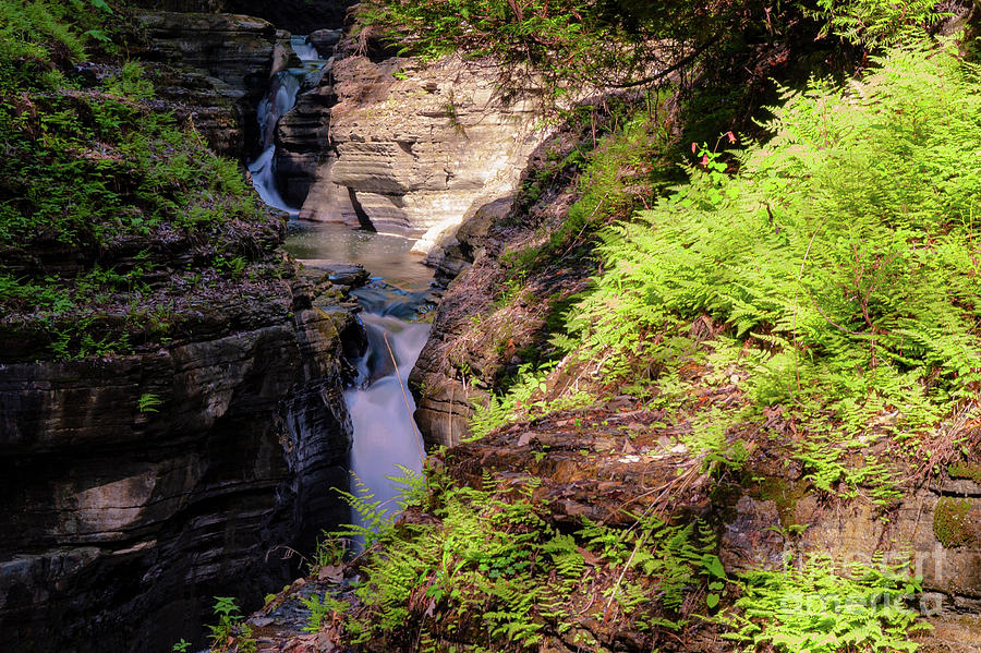 Falls in Glen Creek Two Photograph by Bob Phillips