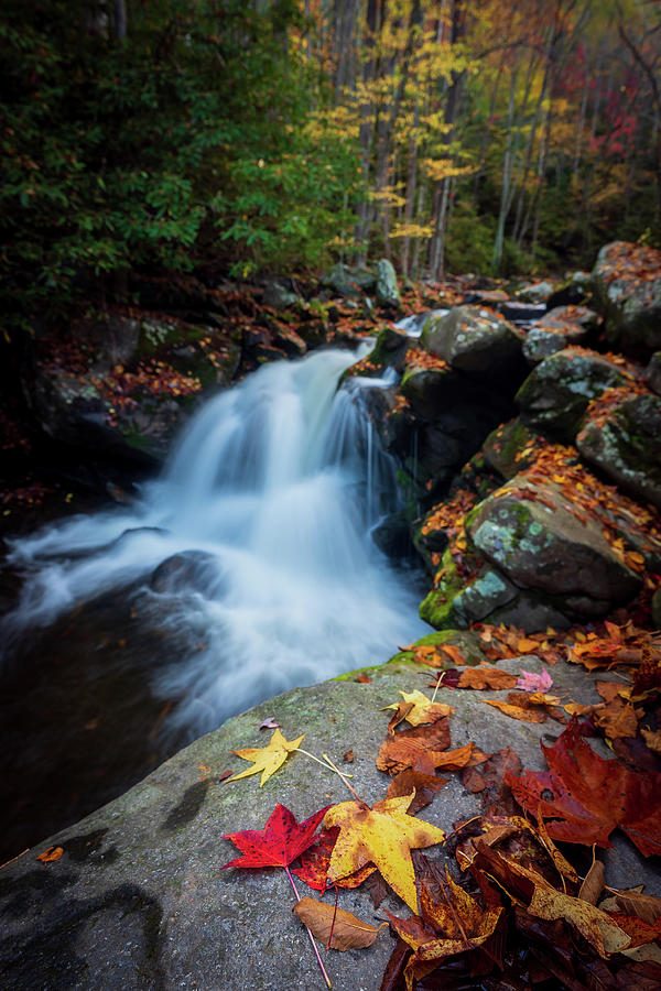 Falls in the fall Photograph by Darrell DeRosia