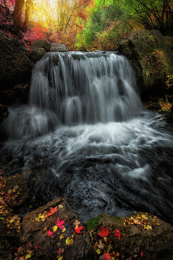 Falls in the Fall Photograph by Michael Ash