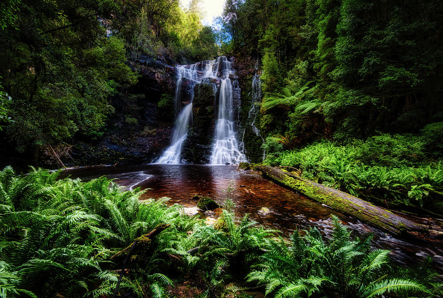 Nature Photograph - Falls in the Forest by Jan Fijolek