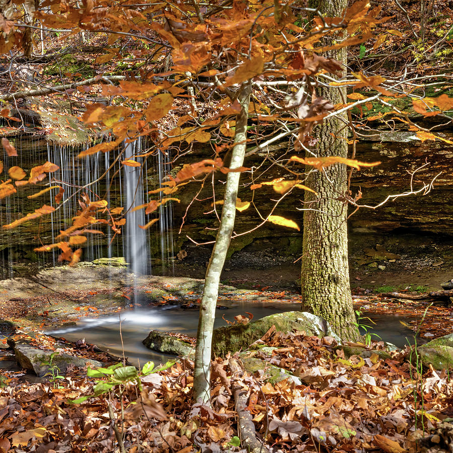Falls In The Ozarks Of Arkansas Photograph