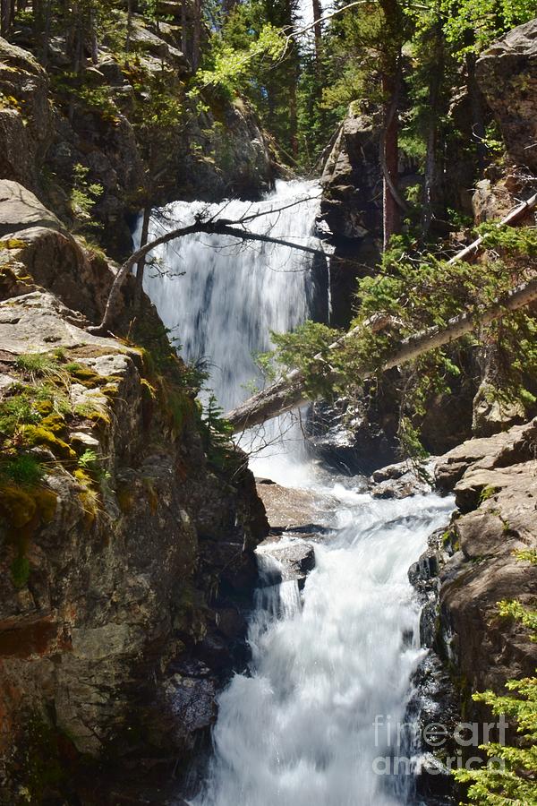 Falls in the Rockies Photograph by Tonya Hance