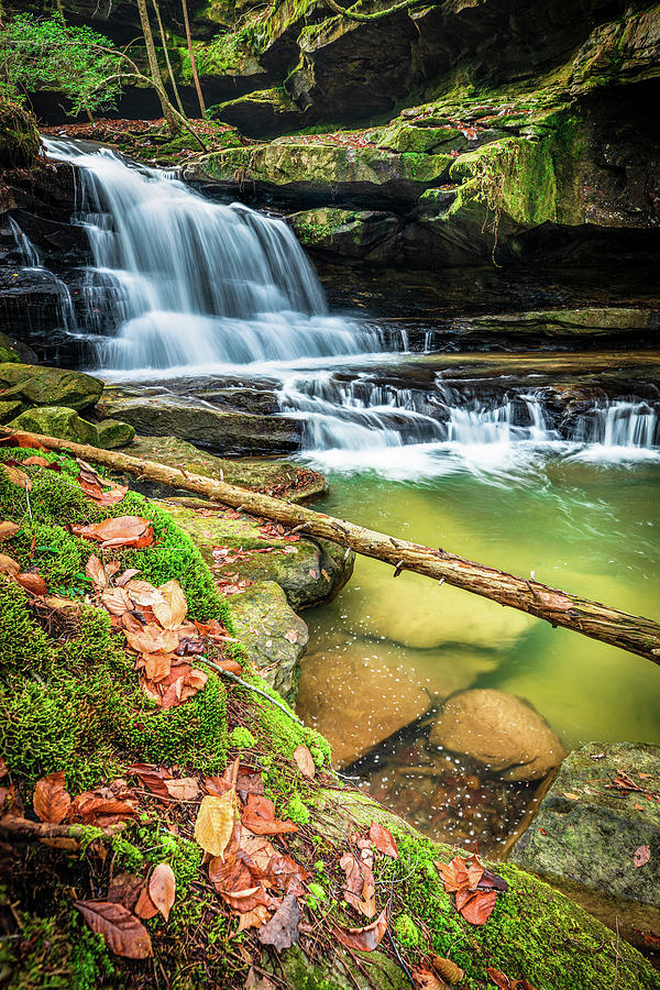 Falls Leaves At Paker Falls Photograph by Jordan Hill