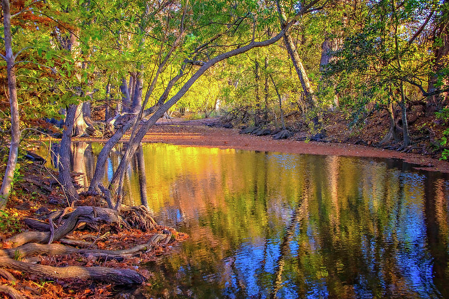 Falls Light on Cibolo Creek Photograph by Lynn Bauer