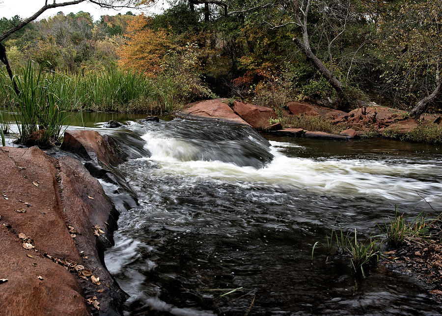 Falls of Neuse Trail Photograph by Fon Denton | Pixels