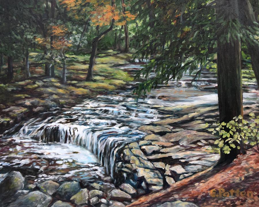Falls on Vaughan Brook, Hallowell, Maine Painting by Eileen Patten Oliver