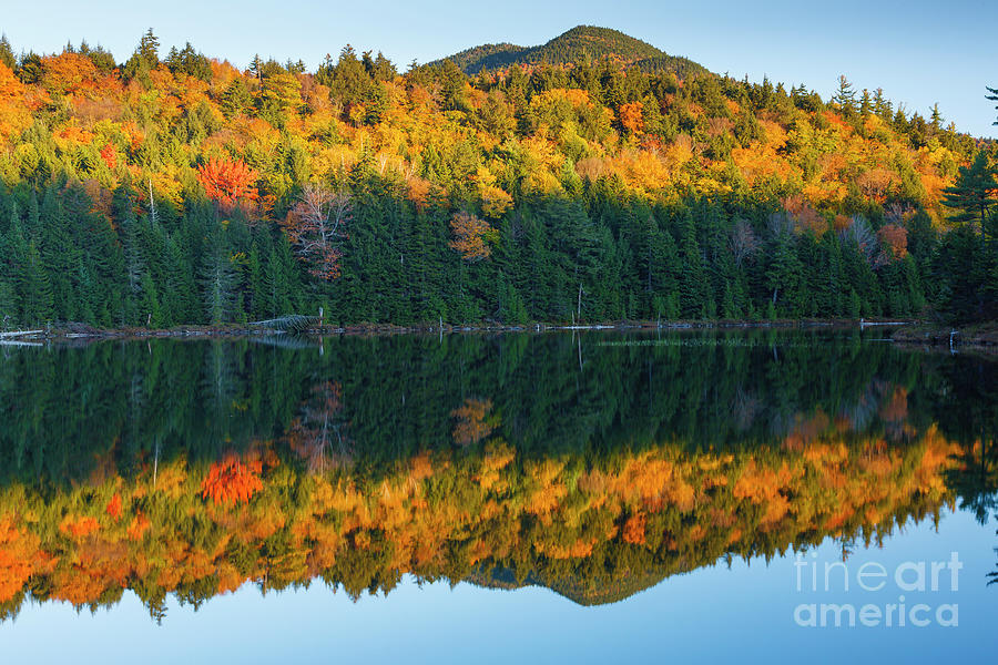 Falls Pond - Rocky Gorge Scenic Area, New Hampshire Photograph by Erin Paul Donovan