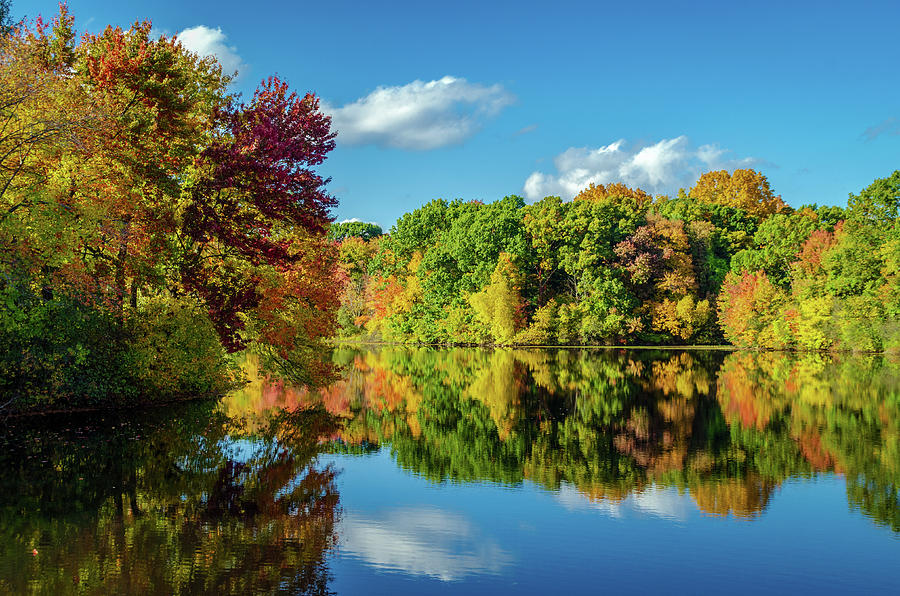 Falls Rainbow Photograph by Paul Woolley - Fine Art America