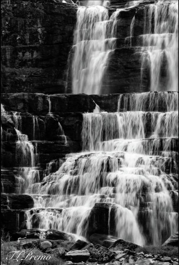 Black And White Photograph - Falls by Tania Premo