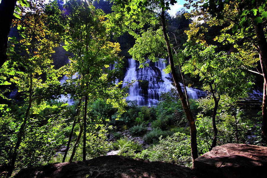 Falls Through the Trees Photograph by George Taylor