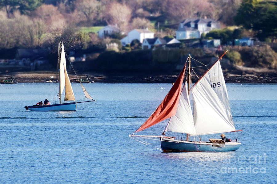 Falmouth Working Boats Photograph by Terri Waters