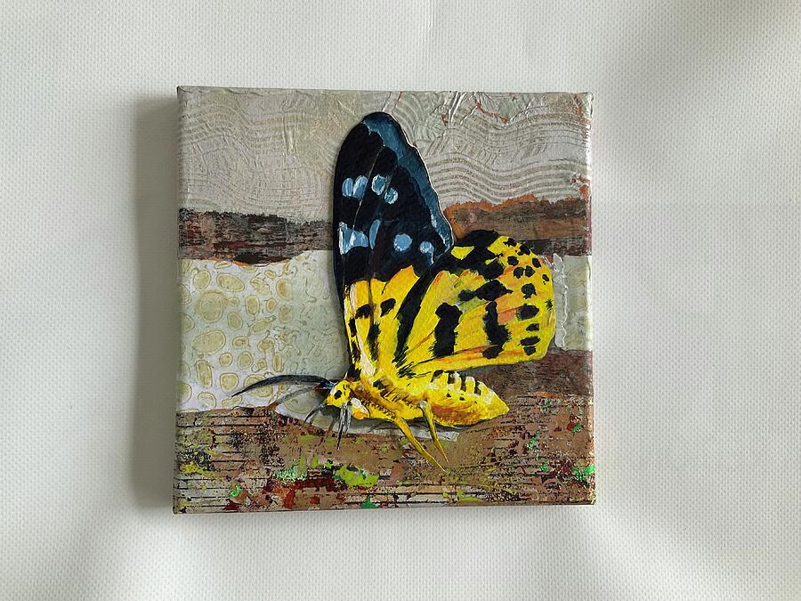 False Tiger Moth Mixed Media by Eileen Petre False Tiger Moth Mixed Media by Eileen Petre