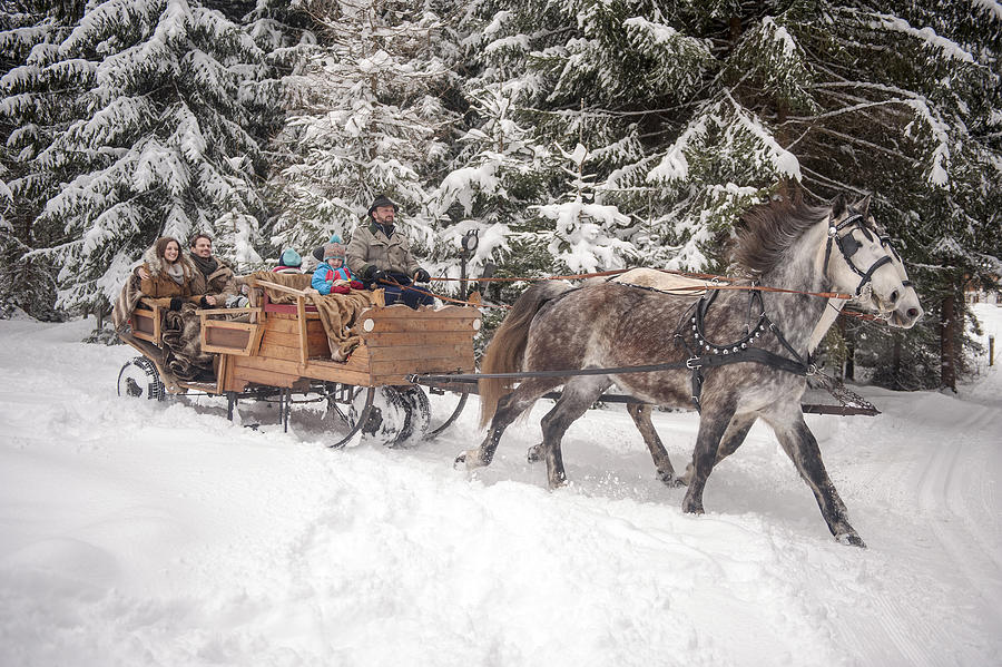 Family enjoying a ride in a horse-drawn sleigh in winter Photograph by Westend61