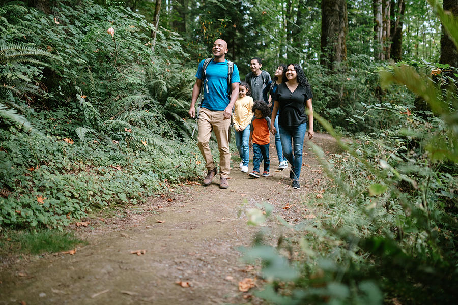 Family Enjoying Hike On Forest Trail in Pacific Northwest Photograph by RyanJLane