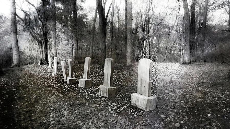 Family Graveyard  Photograph by Ally White