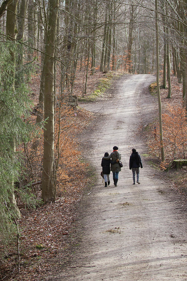 Family In Folehaven Forest In Hoersholm. 2015 Photograph