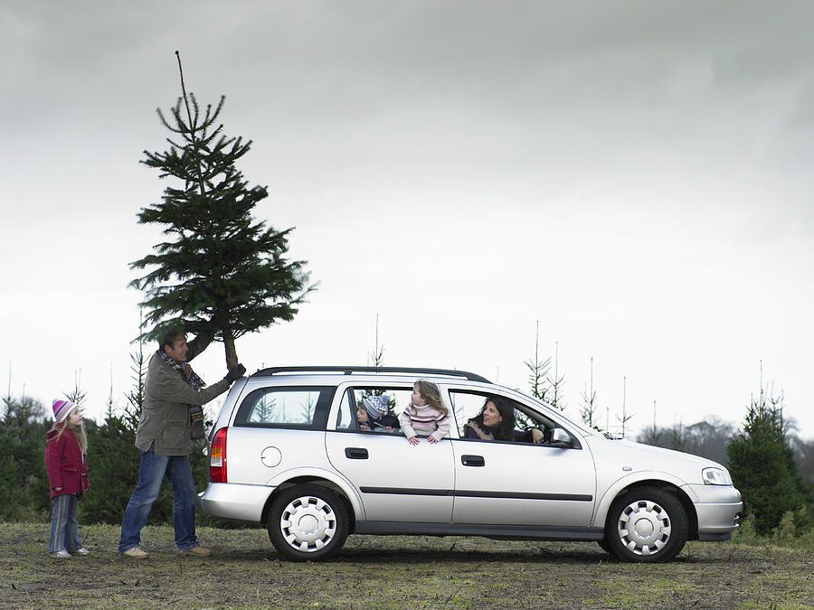 Family loading Christmas tree onto roof of car Photograph by Zac Macaulay