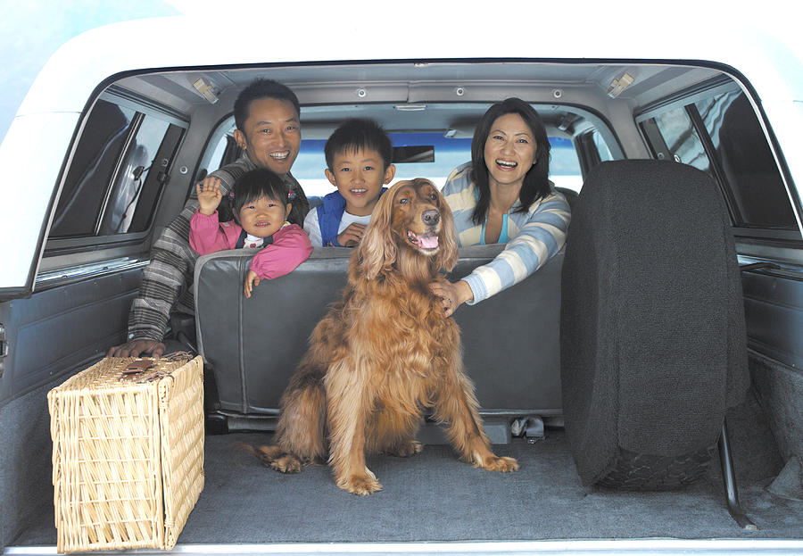 Family of four and dog in back of car, portrait, view through boot Photograph by Kei Uesugi
