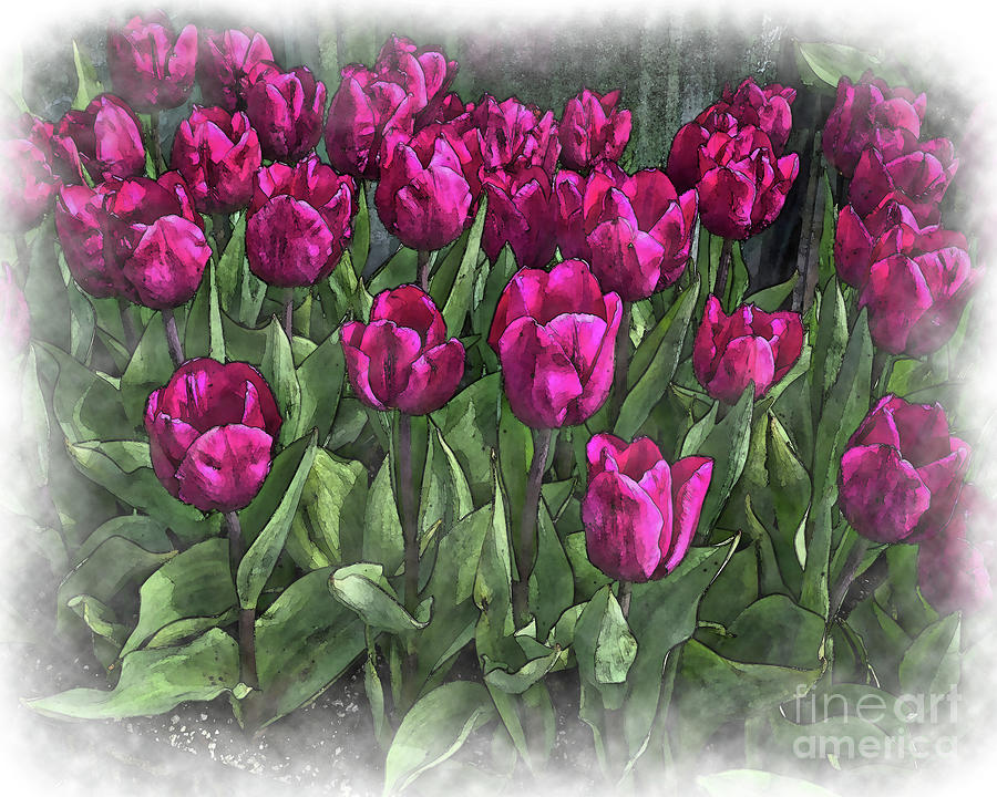 Family Of Red Tulips Digital Art by Kirt Tisdale