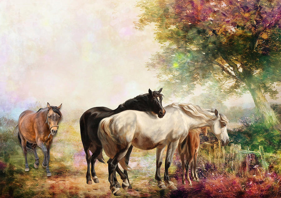Family of Wild Horses Digital Art by Laura Botsford
