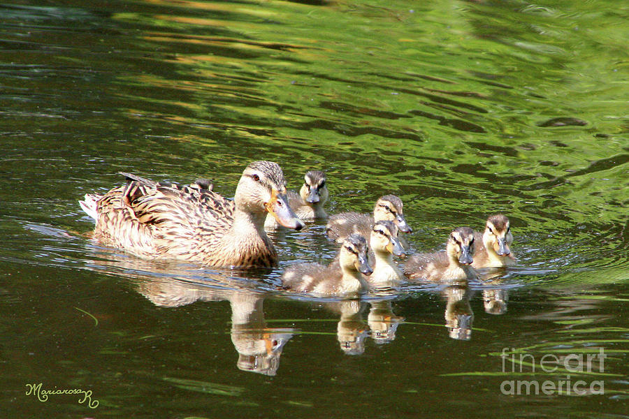 Family Outing Photograph by Mariarosa Rockefeller