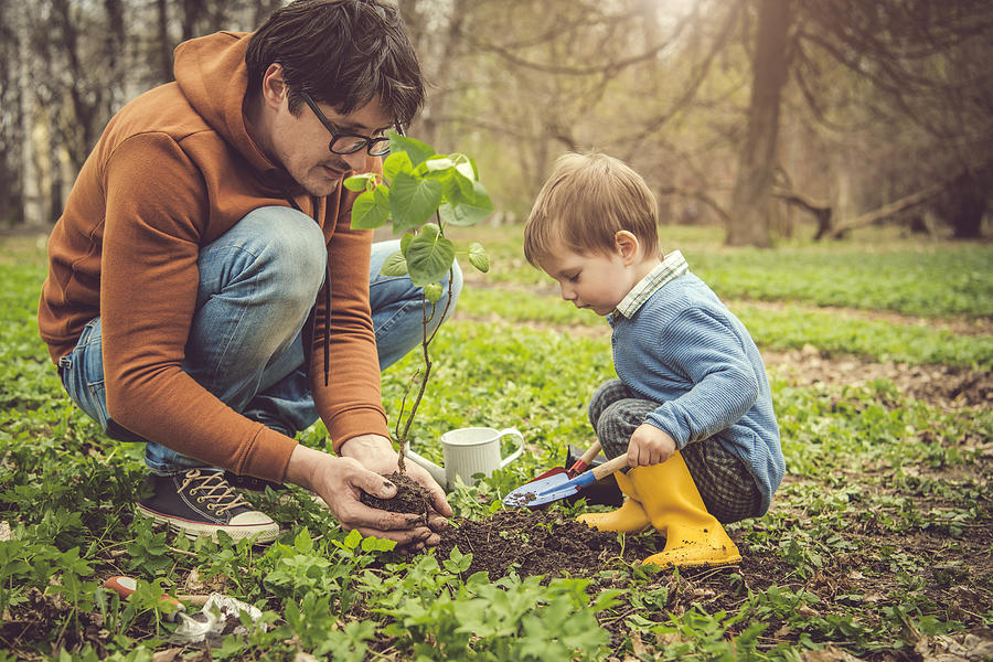 Family planting tree on Arbor day in springtime Photograph by ArtMarie