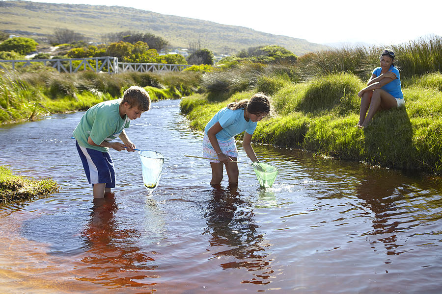 Family playing in stream Photograph by Alistair Berg