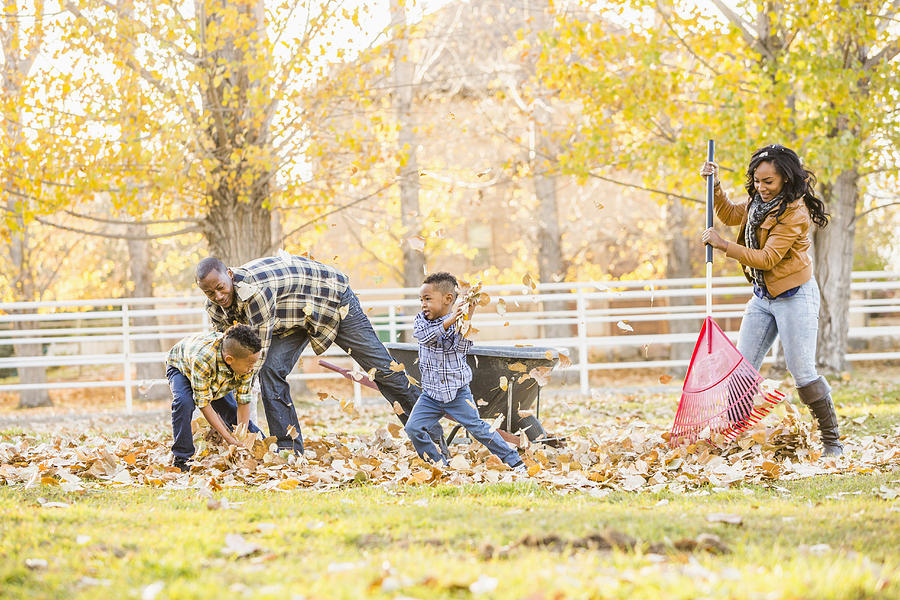 Family raking autumn leaves together Photograph by Mike Kemp