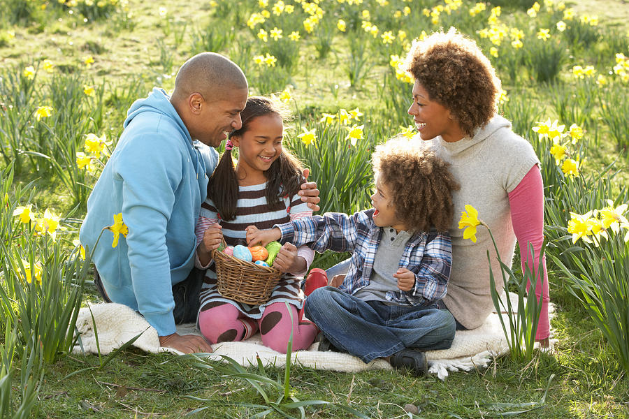 Family Relaxing In Field Of Spring Daffodils Photograph by Omgimages