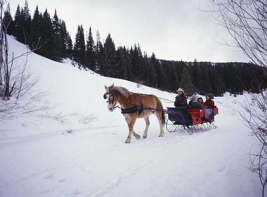 Family riding in sleigh on snow covered road Photograph by Steve Mason