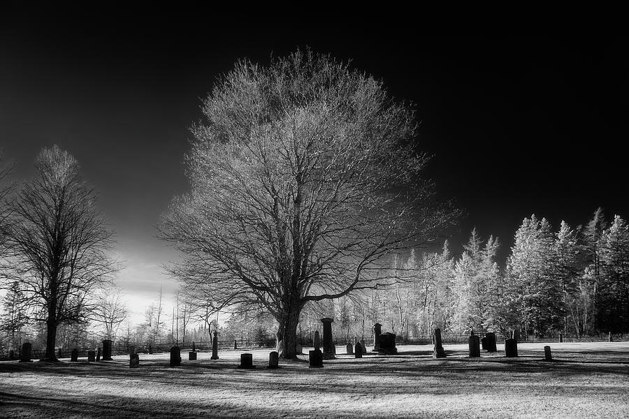Photo Luster Photograph on Fine Art Paper Black and White Winter Street or Stretched Canvas