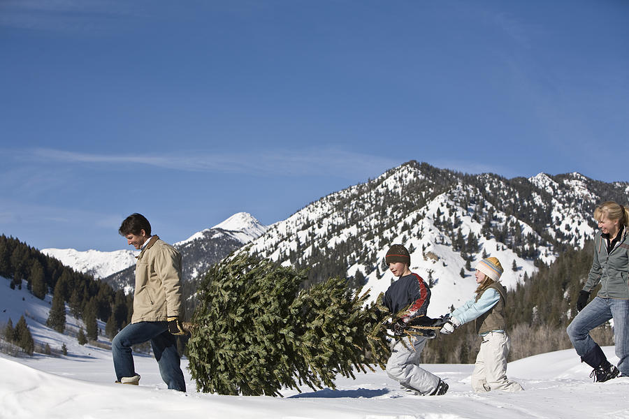 Family with two children (8-10) carrying christmas tree in mountains Photograph by Caroline Woodham
